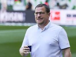 Wer das behauptet, ...: Bayern-Boss Eberl kontert Kritik nach Burn-out