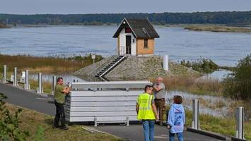 Hochwasser: Oderpegel steigt – höchste Alarmstufe droht