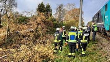 Baum stürzt auf Gleise: Zugausfälle zwischen Hamburg und Sylt