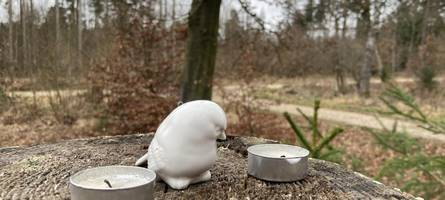 15-Jährige im Wiblinger Wald erwürgt: Diese Strafen werden für den Freund gefordert