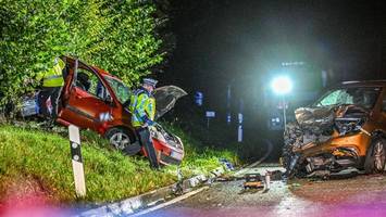 Zwei Kinder sterben bei verheerendem Frontal-Crash