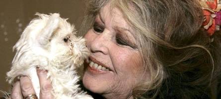 Megastar mit Makel: Brigitte Bardot wird 90