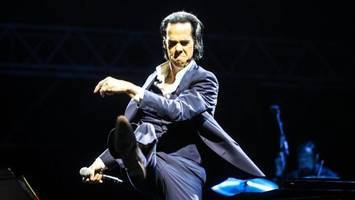 Nick Cave in Hamburg: Was Fans jetzt wissen müssen