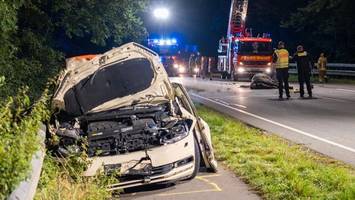 Unfall in Stade: Zwei Pferde sterben –Taxifahrer in Lebensgefahr