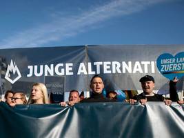 AfD und junge Menschen: Jung, rechts, männlich sucht