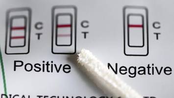 corona-inzidenz steigt sprunghaft: xec verbreitet sich rasant