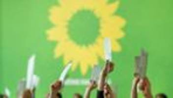 grünen-parteitag: mv-grüne wählen vorstand und kandidaten für bundestagswahl