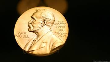 Aus den USA und Großbritannien - Chemie-Nobelpreis geht an drei Proteinforscher