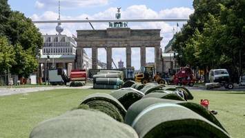 Kunstrasen von Fan Zone: Weniger als die Hälfte wiederverwertbar