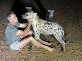 kuscheln mit raubtieren: kim wolhuter ist der hyänen-flüsterer