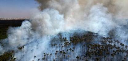 Verbrannte Fläche in Brasilien dreimal so groß wie Bayern