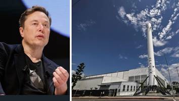 Gastbeitrag von Rainer Zitelmann - Als Elon Musk eine Maus zum Mars schicken wollte und der Russe ihm auf die Schuhe spuckte