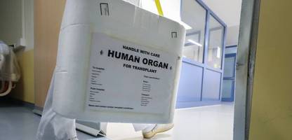organspende: fdp will todesdefinition ändern, um zahl der organtransplantationen zu erhöhen
