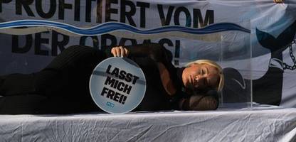 sarah connor: sängerin legt sich für schwertwale in berlin in leeres aquarium