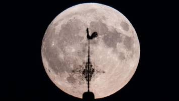 studie zeigt: corona-lockdown war auf dem mond messbar
