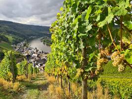 mosel: wandern zwischen wasser und wein