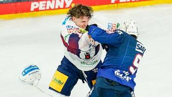 Eisbären Berlin: Der große Rivale Mannheim wird sanfter