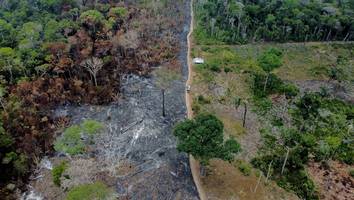 Wälder, Ozeane, Böden - Viel früher als berechnet: Plötzlich geraten natürliche CO2-Speicher ins Wanken