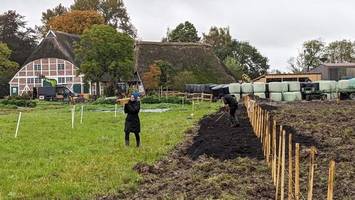 Grüne Initiative: Neue Bäume und Sträucher für Hof Eggers