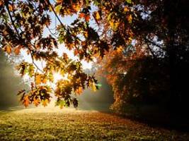 Nächstes Hoch hat langen Atem: Reicht der Goldene Oktober etwa bis in den November?