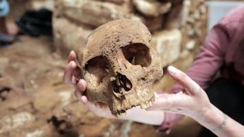 megaprojekt im regenwald: archäologe bangt um maya-schätze