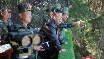 von wegen kanonenfutter? das ist kims brutale spezialeinheit