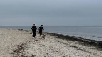 Wie faule Eier: Bestialischer Gestank vermiest Strandbesuch