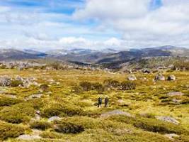 Von Schlange gebissen: Fotografin überlebt tagelang in australischem Gebirge