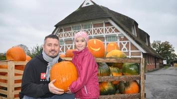 Halloween-Kürbisse von mini bis riesig in Neuengamme