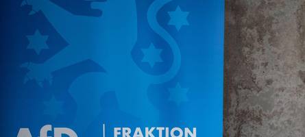 afd will kritiker aus der partei ausschließen