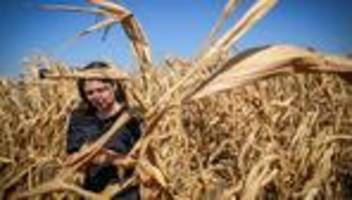 institute for global health: klimawandel belastet laut studie schlaf und gesundheit