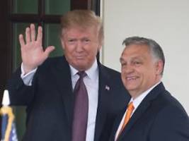 Verhandlungen im Handumdrehen: Orban: Trump wird diplomatische Lösung im Ukraine-Krieg finden