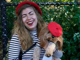 report: die verrückte hundeliebe der new yorker
