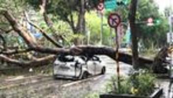 taifun: japan bereitet sich auf tropensturm «kong-rey» vor