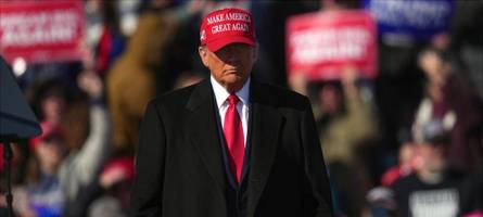 Trumps 13 Lügen, wie Demokraten die Wahl stehlen werden