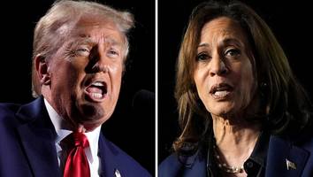 Kamala Harris gegen Donald Trump - Sieben Kopf-an-Kopf-Rennen, eine Überraschung: Der große Umfrage-Überblick zur US-Wahl