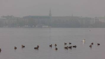 Noch mehr „graue Suppe“? So wird das Wetter in Hamburg