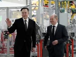 In einem Post auf Deutsch: Musk beleidigt Scholz als Narr