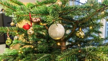 Preisanstieg - So teuer wird Ihr Weihnachtsbaum diesen Winter