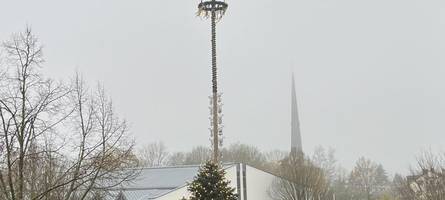 Weihnachtsbaum in Diedorf steht - ist es der Letzte in dieser Größe?