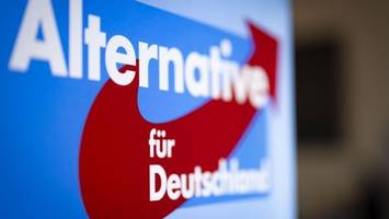 afd: mitglieder, fakten, erfolge – die partei im steckbrief