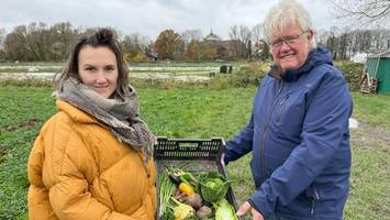 Früh bewerben: Frisches Bio-Gemüse aus den Vierlanden