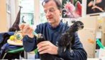 zoodirektor als ziehvater: warum karlsruher kakadu-küken umziehen müssen