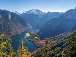 internationale auszeichnung: bayerische nationalparks spielen in einer liga mit yellowstone und dem kruger