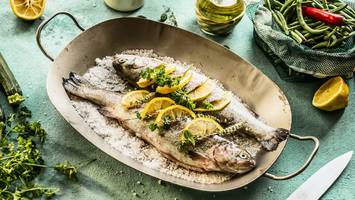 Ernährungswissenschaft - Fisch gegen Tinnitus: Neue Studie sorgt für Aufsehen - das steckt dahinter