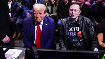 Ein weiterer Beweis für ihr enges Verhältnis - Trump will bei Raketen-Test von Musk-Firma dabei sein