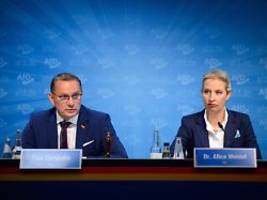 aus angst vor ost-wählern?: afd streicht wehrpflicht aus wahlprogramm