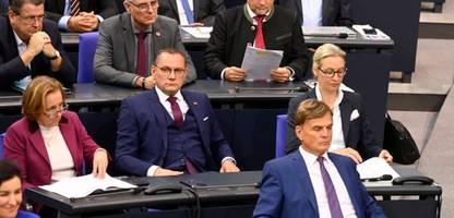 afd und vertrauensfrage: warum in der afd mancher für den kanzler olaf scholz stimmen könnte