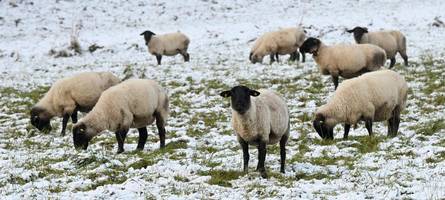 Der Winter ist da – wo in Bayern am Donnerstag mit Schnee zu rechnen ist