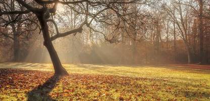 wetter in den kommenden tagen: frühlingshafte temperaturen und sturm